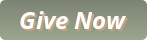 Give Now | DiepCFoundation